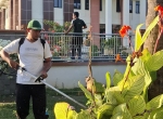 Pengadilan Agama Taliwang Gelar Kegiatan Pembersihan Lingkungan Kantor...